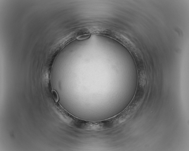 X0000111900405200908031121