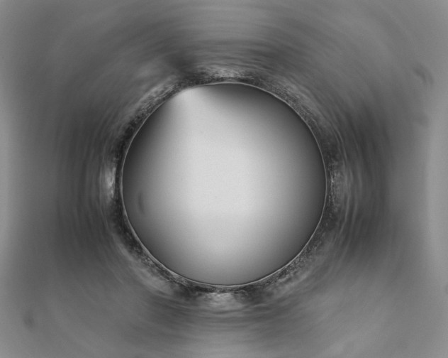 X0000111900406200908031121