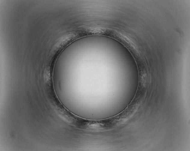 X0000111900407200908031121