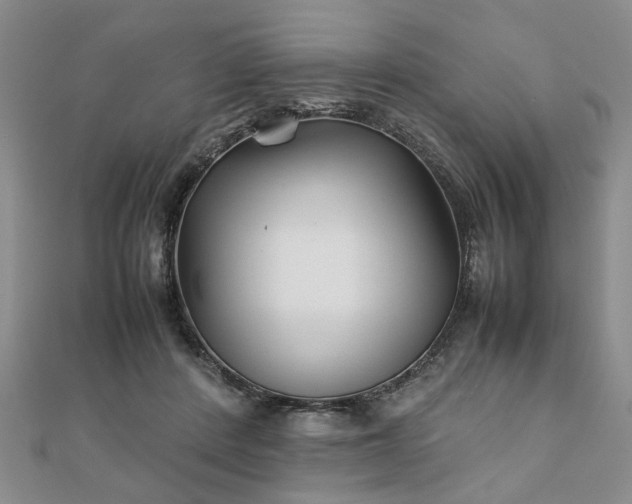 X0000111900408200908031121