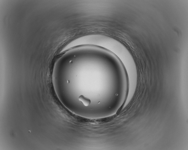 X0000111900411200908031121