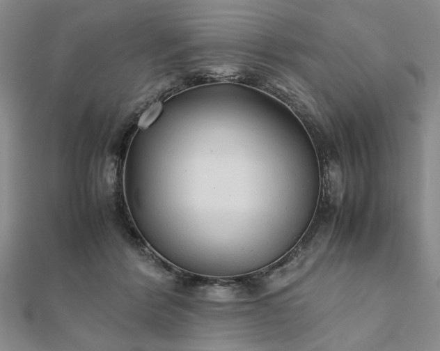 X0000111900412200908031121