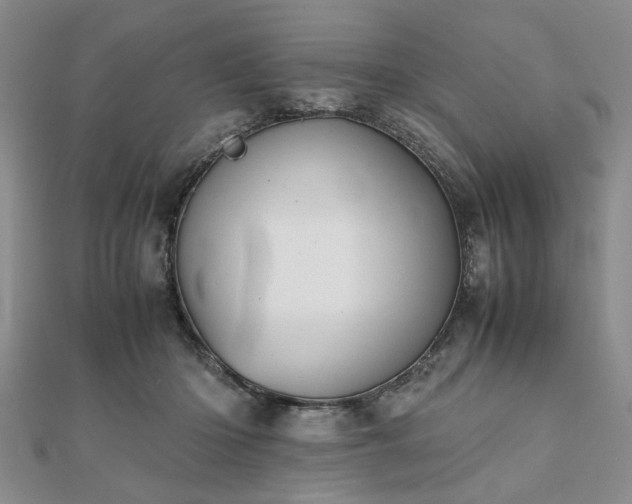 X0000111900414200908031121