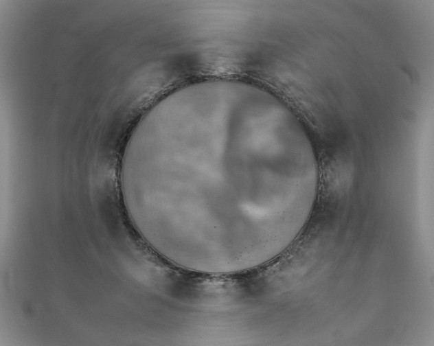 X0000111900415200908031121