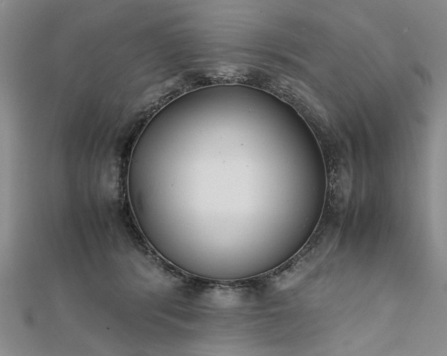 X0000111900416200908031121