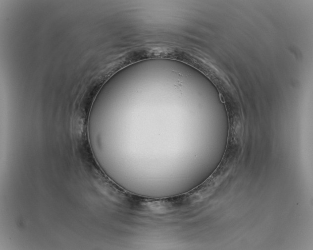 X0000111900417200908031121