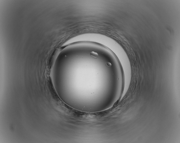 X0000111900419200908031121