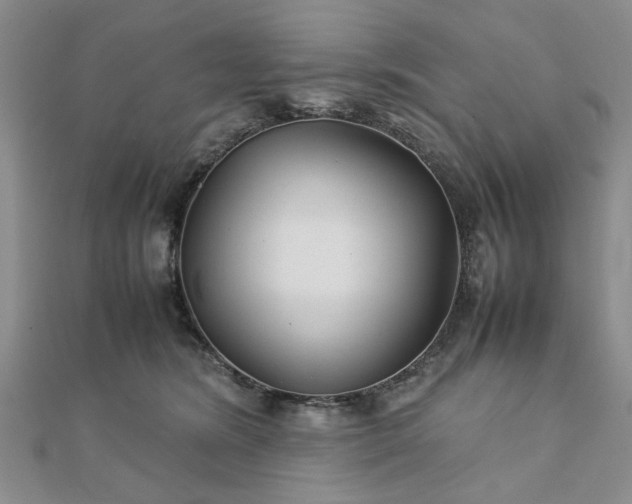 X0000111900420200908031121