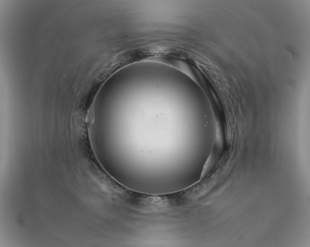 X0000111900421200908031121