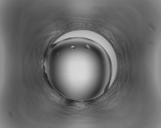 X0000111900423200908031121