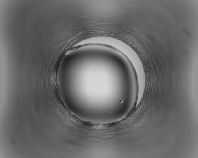 X0000111900425200908031121