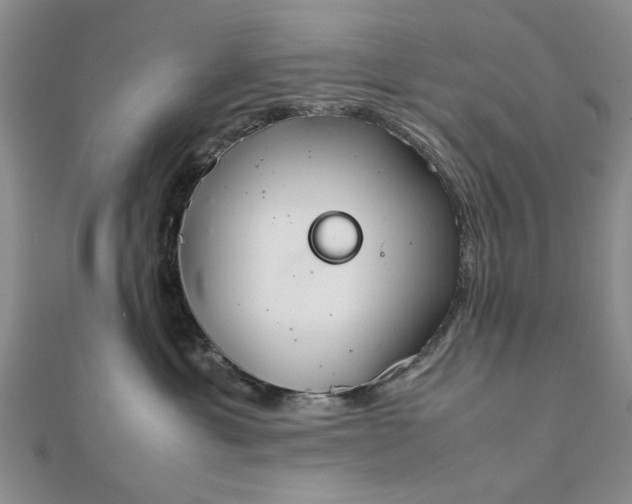 X0000111900429200908031121