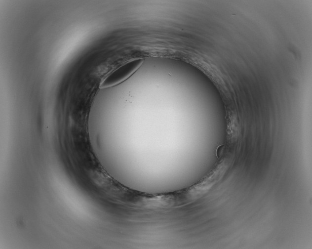 X0000111900430200908031121