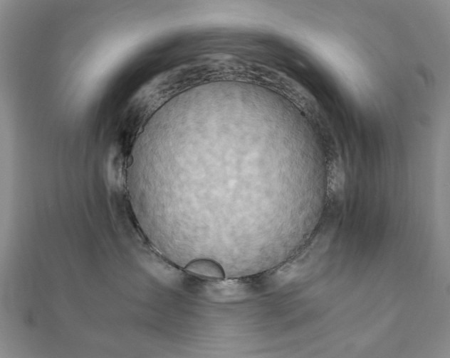 X0000111900431200908031121