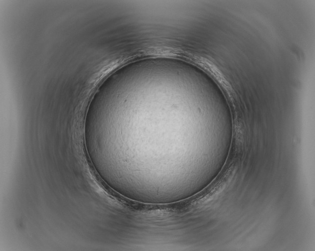 X0000111900433200908031120