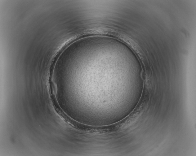 X0000111900434200908031120