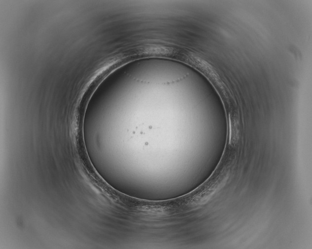 X0000111900435200908031120