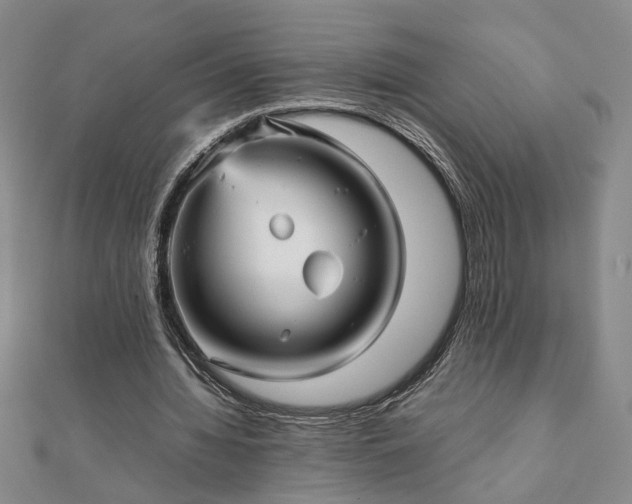 X0000111900436200908031120