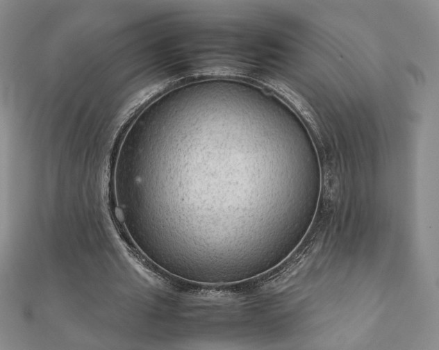 X0000111900437200908031120