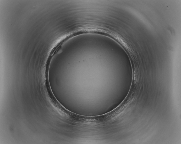 X0000111900438200908031120