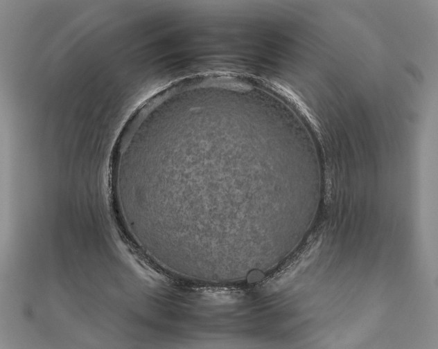 X0000111900439200908031120