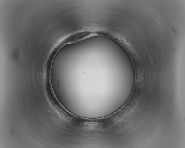 X0000111900440200908031120