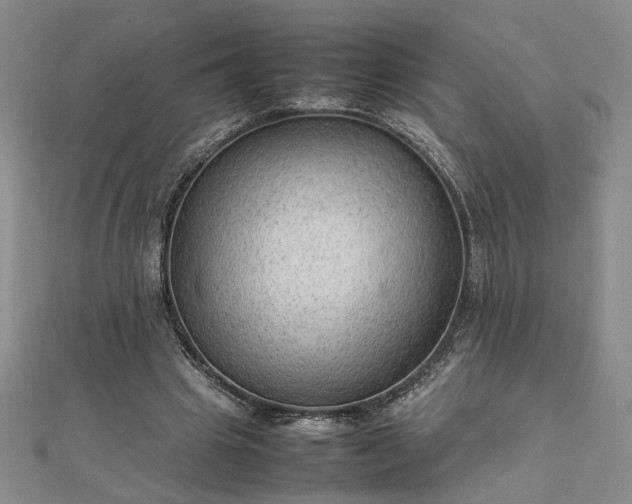 X0000111900441200908031120