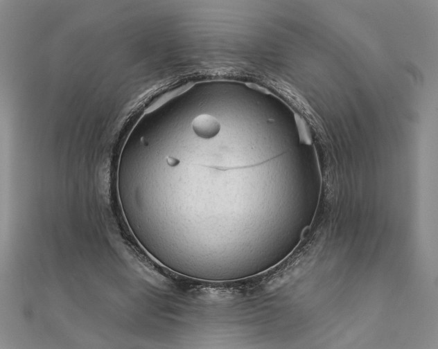 X0000111900442200908031120