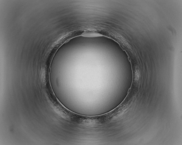 X0000111900444200908031120