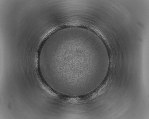 X0000111900446200908031120