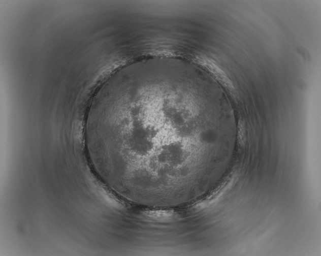 X0000111900449200908031120