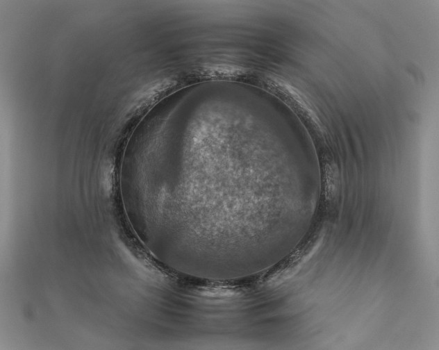 X0000111900451200908031120