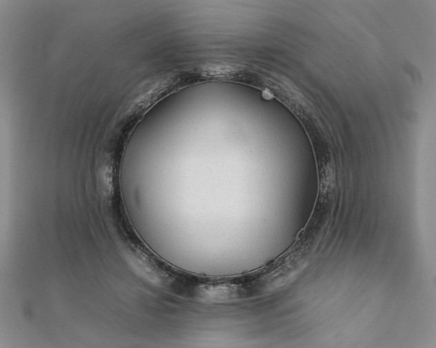 X0000111900452200908031120