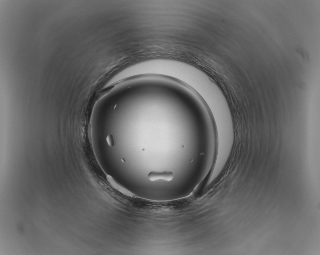 X0000111900456200908031120