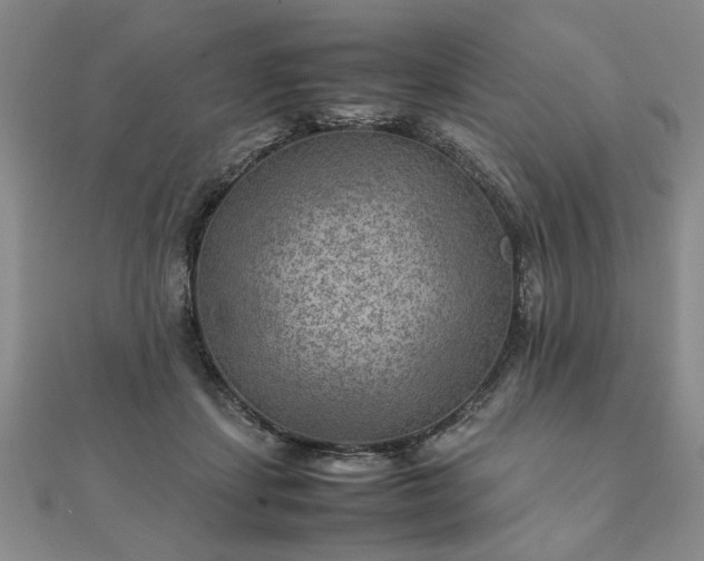 X0000111900459200908031120