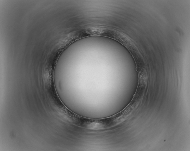 X0000111900460200908031120