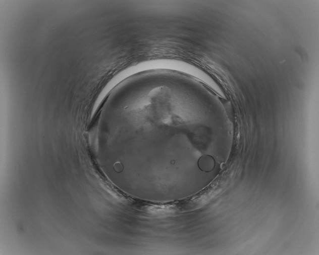 X0000111900465200908031120