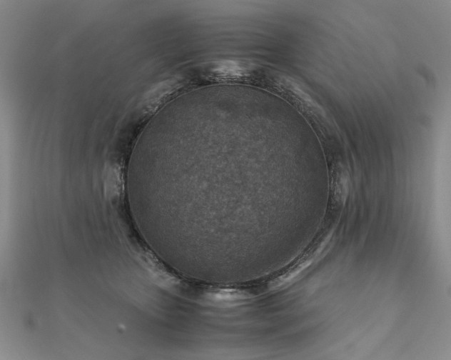 X0000111900467200908031120