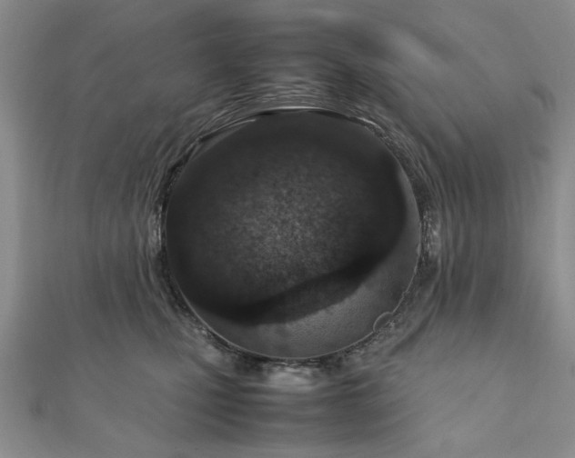 X0000111900471200908031121