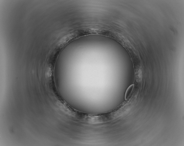 X0000111900472200908031121