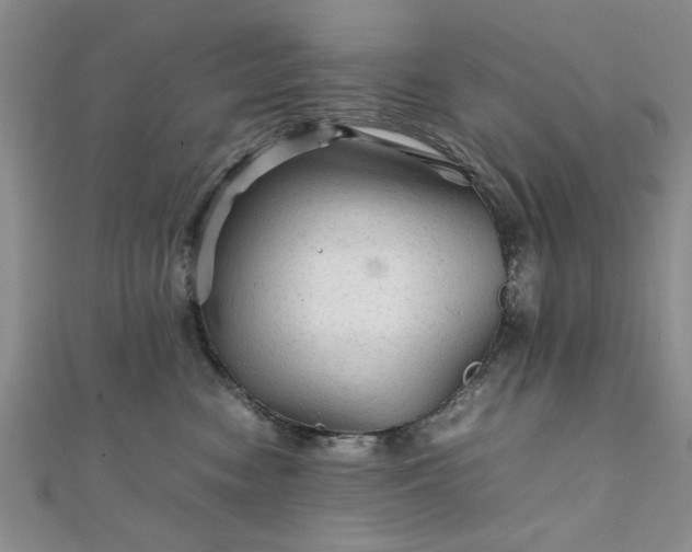 X0000111900474200908031121