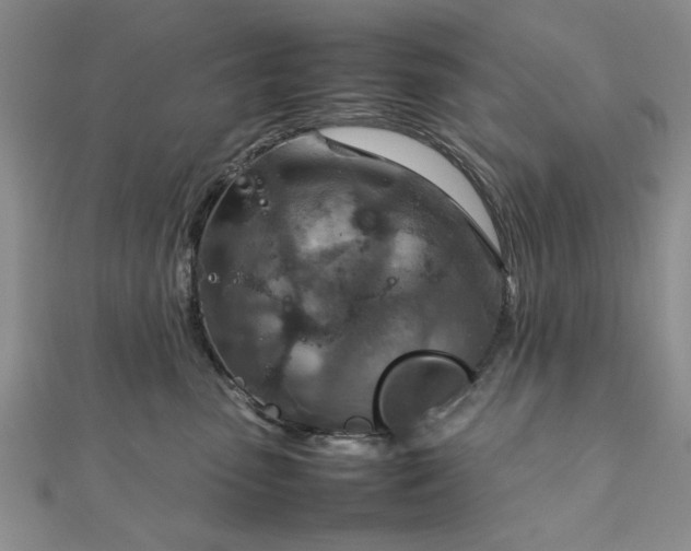 X0000111900475200908031121