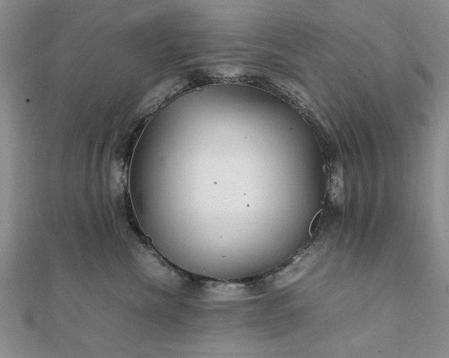 X0000111900476200908031121