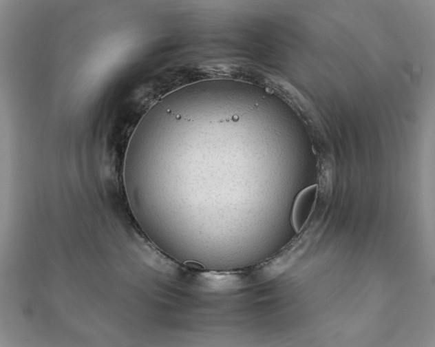 X0000111900477200908031121