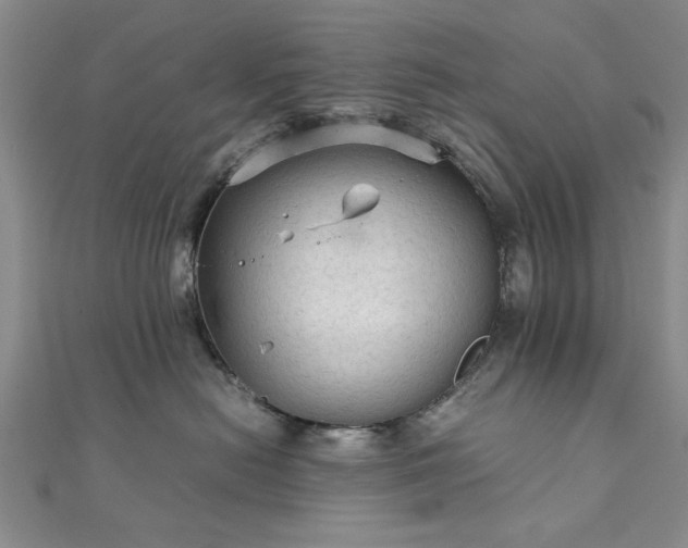 X0000111900478200908031121