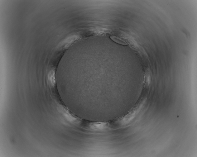 X0000111900479200908031121