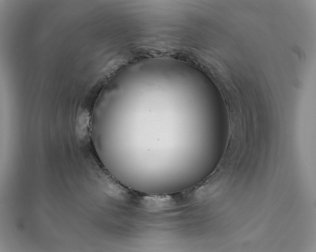 X0000111900480200908031121