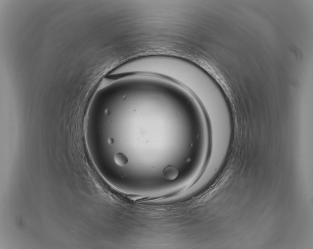 X0000111900481200908031120