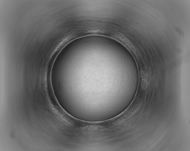 X0000111900482200908031120