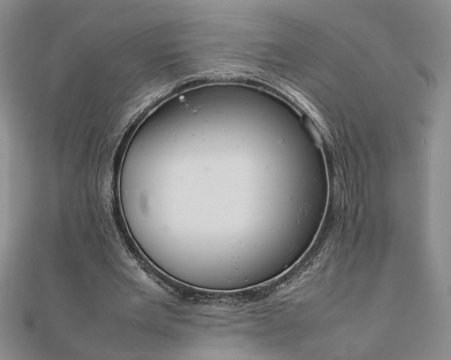 X0000111900485200908031120